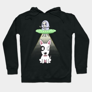 Funny bull terrier is being abducted by aliens Hoodie